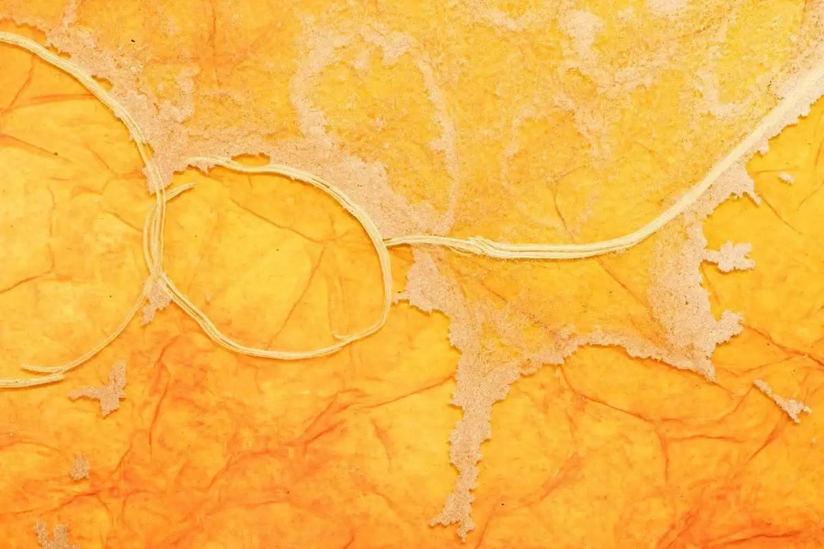 Gemalda Caldera - ORIGINAL - SOLD by artist Kerry Darlington - Wyecliffe Galleries