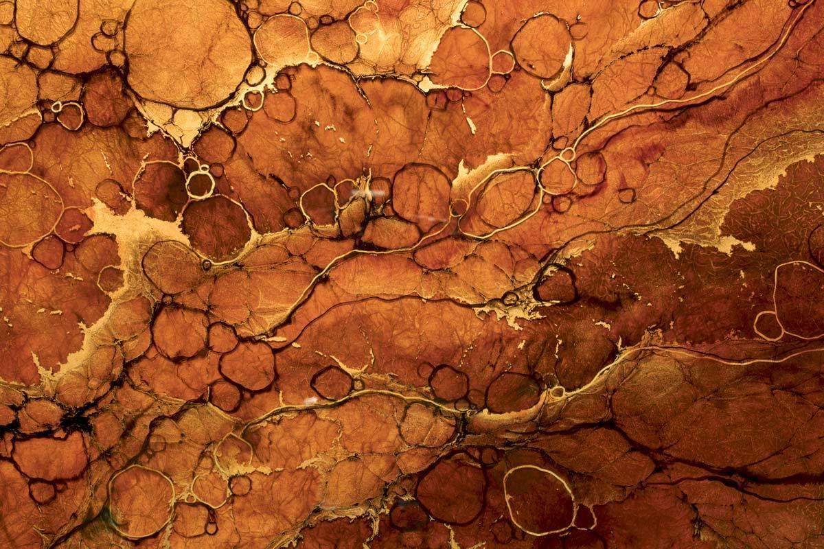 Kulkev - Original - SOLD by artist Kerry Darlington - Wyecliffe Galleries