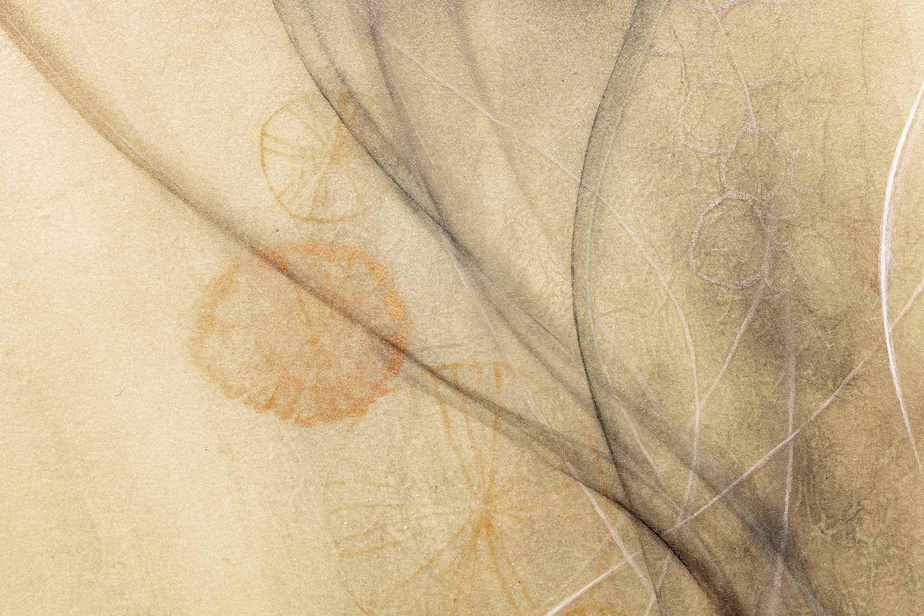 Lady of Shalott - Original by artist Kerry Darlington - Wyecliffe Galleries