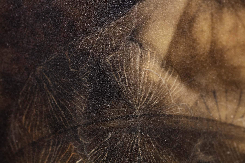 Lady of Shalott - Original by artist Kerry Darlington - Wyecliffe Galleries