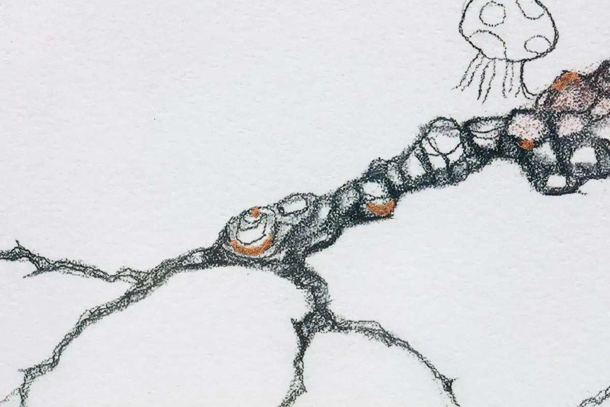 Learning to Fly - Rare Remarque Edition - SOLD by artist Kerry Darlington - Wyecliffe Galleries