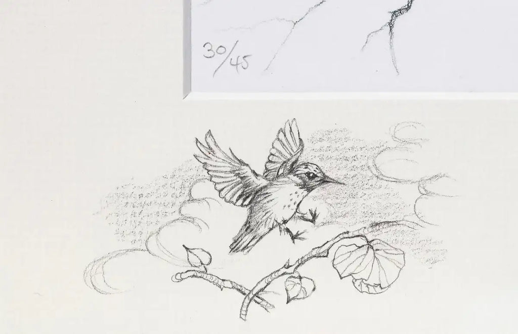 Learning to Fly - Rare Remarque Edition - SOLD by artist Kerry Darlington - Wyecliffe Galleries