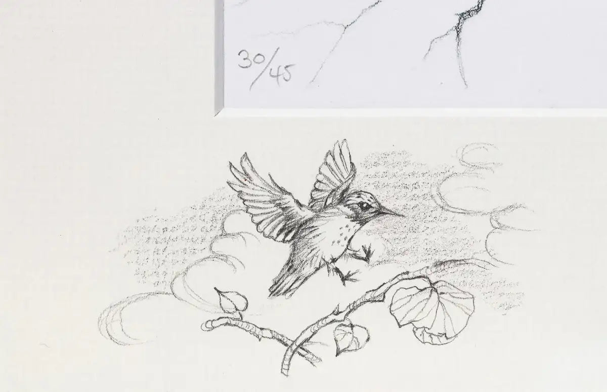 Learning to Fly - Rare Remarque Edition - SOLD by artist Kerry Darlington - Wyecliffe Galleries