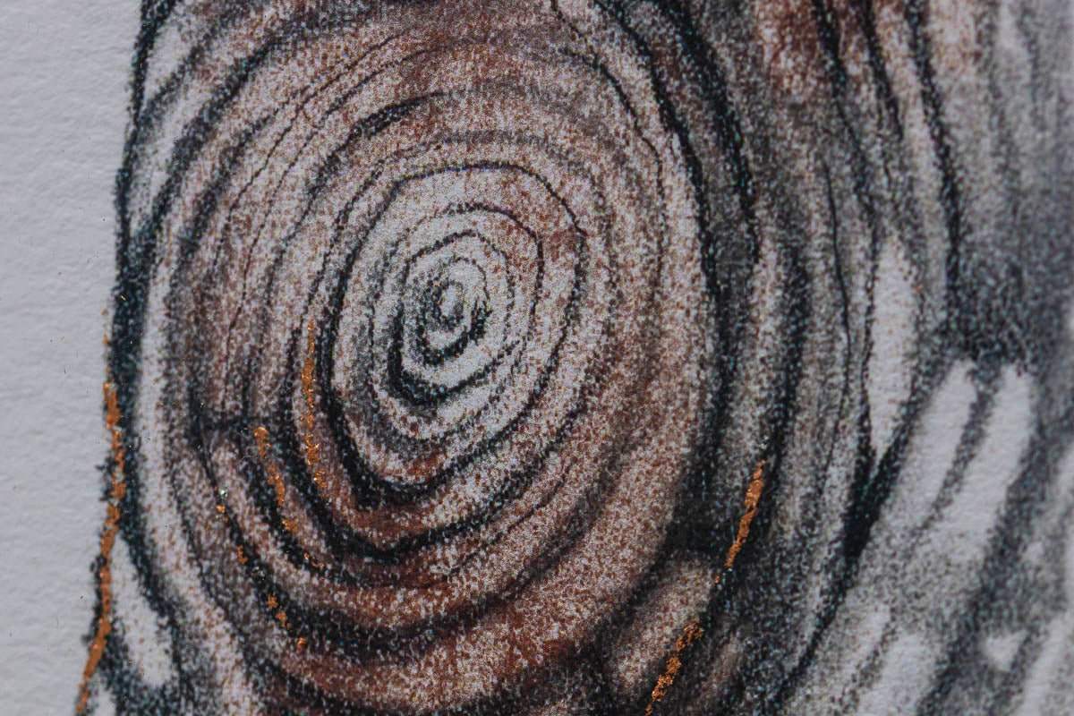 Learning to Fly (Sketch) - Standard Edition by artist Kerry Darlington - Wyecliffe Galleries