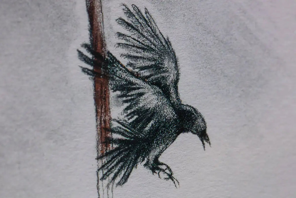 Learning to Fly (Sketch) - Standard Edition by artist Kerry Darlington - Wyecliffe Galleries