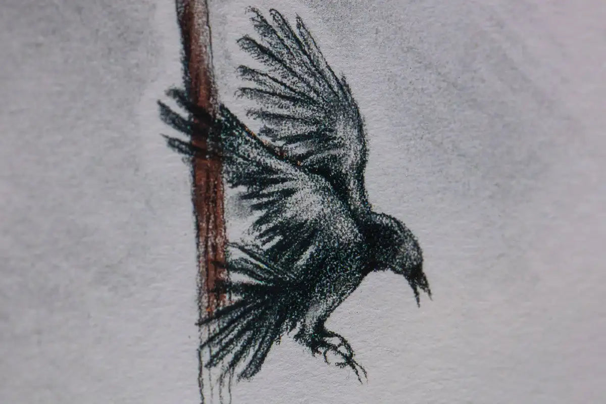 Learning to Fly (Sketch) - Standard Edition by artist Kerry Darlington - Wyecliffe Galleries