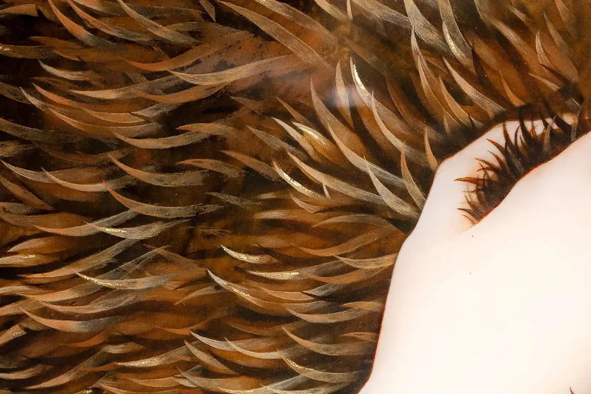 Look for the Light - Edition by artist Kerry Darlington - Wyecliffe Galleries