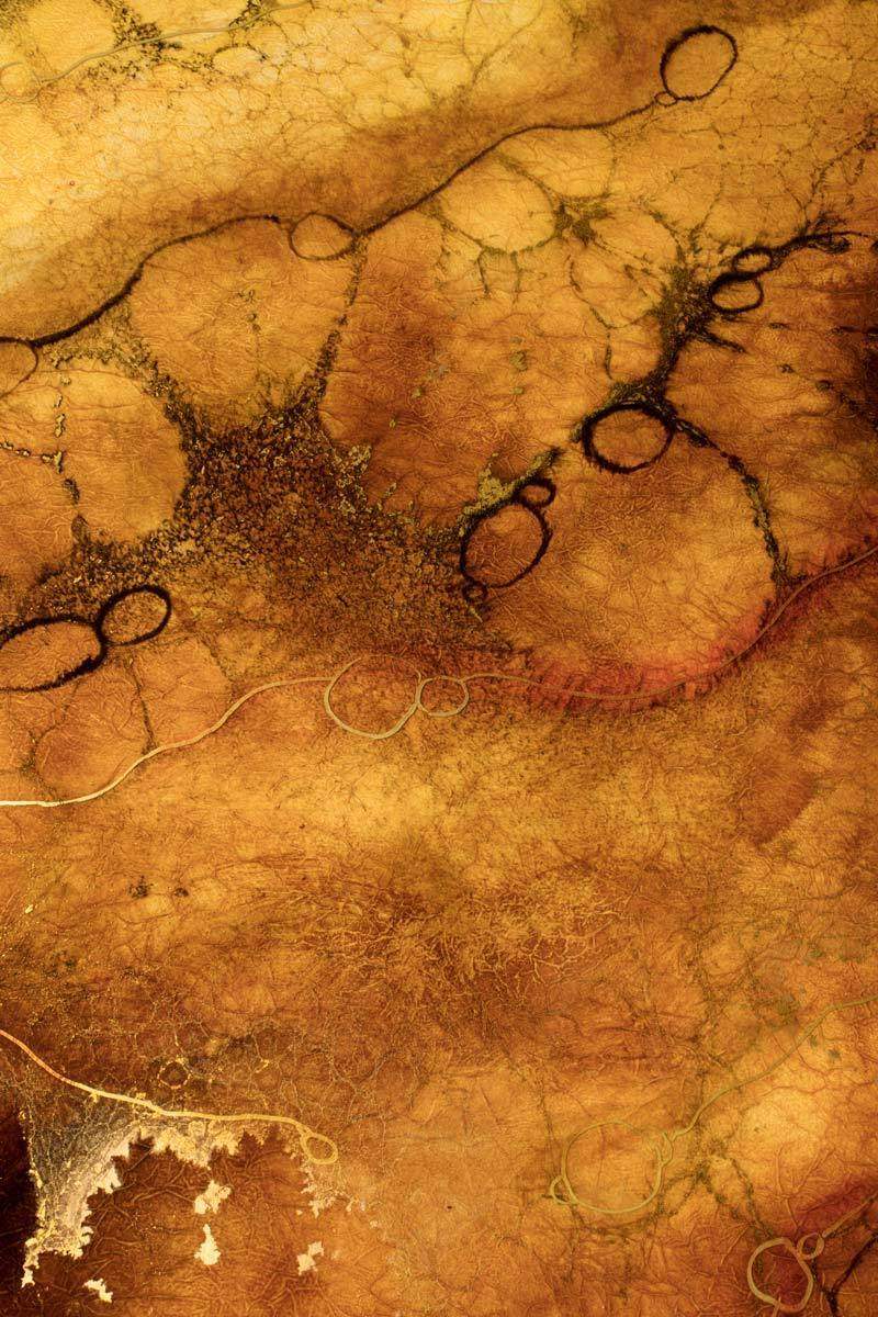 Mahawu - Original - SOLD by artist Kerry Darlington - Wyecliffe Galleries