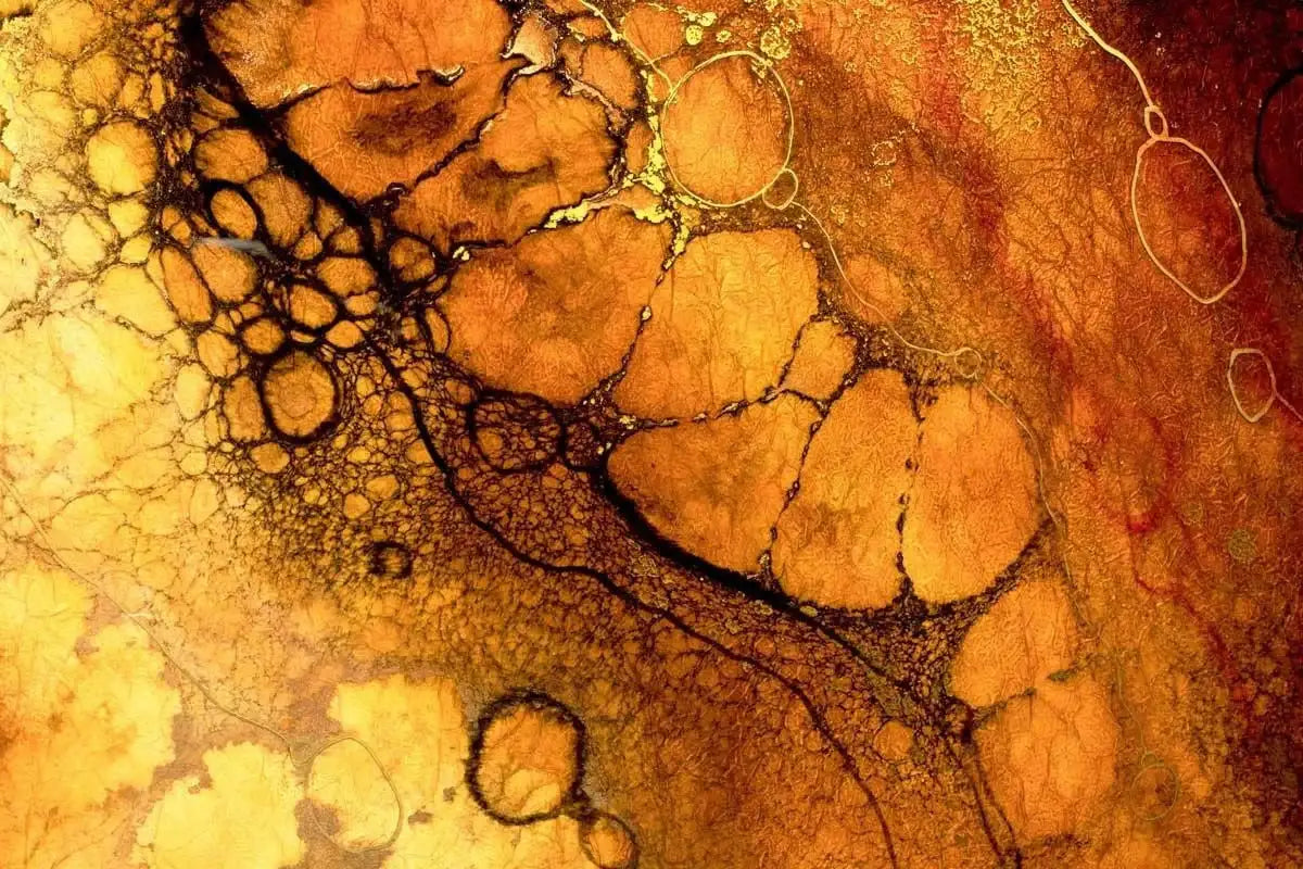 May-ya-Moto - SOLD by artist Kerry Darlington - Wyecliffe Galleries