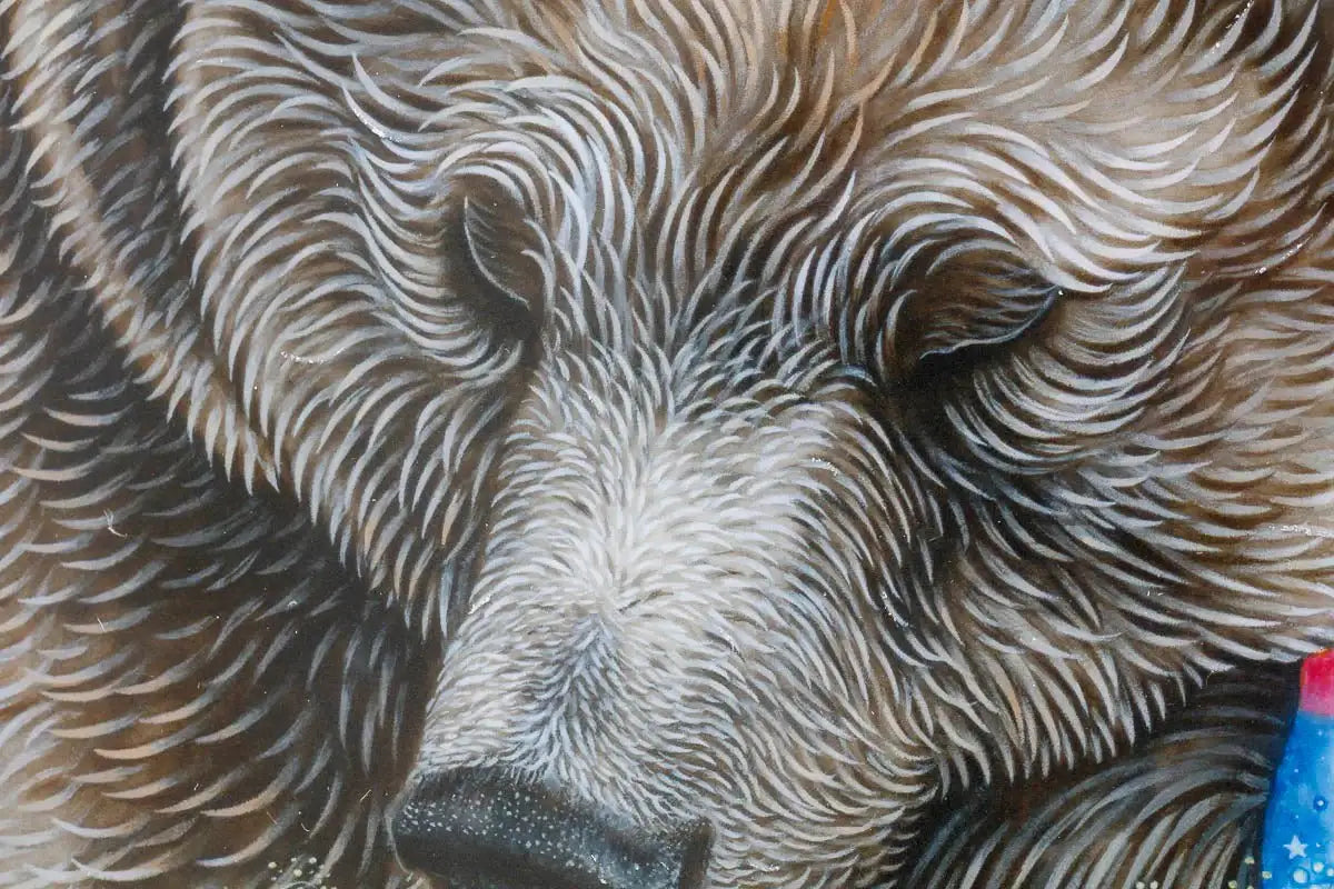 MoonBear - Edition by artist Kerry Darlington - Wyecliffe Galleries