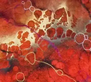 Myoko - Edition - SOLD OUT by artist Kerry Darlington - Wyecliffe Galleries