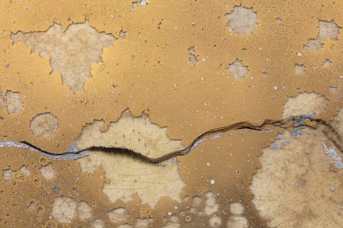 Nii-Jima II - Original - SOLD by artist Kerry Darlington - Wyecliffe Galleries