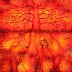 Northern Red - Original - SOLD by artist Kerry Darlington - Wyecliffe Galleries