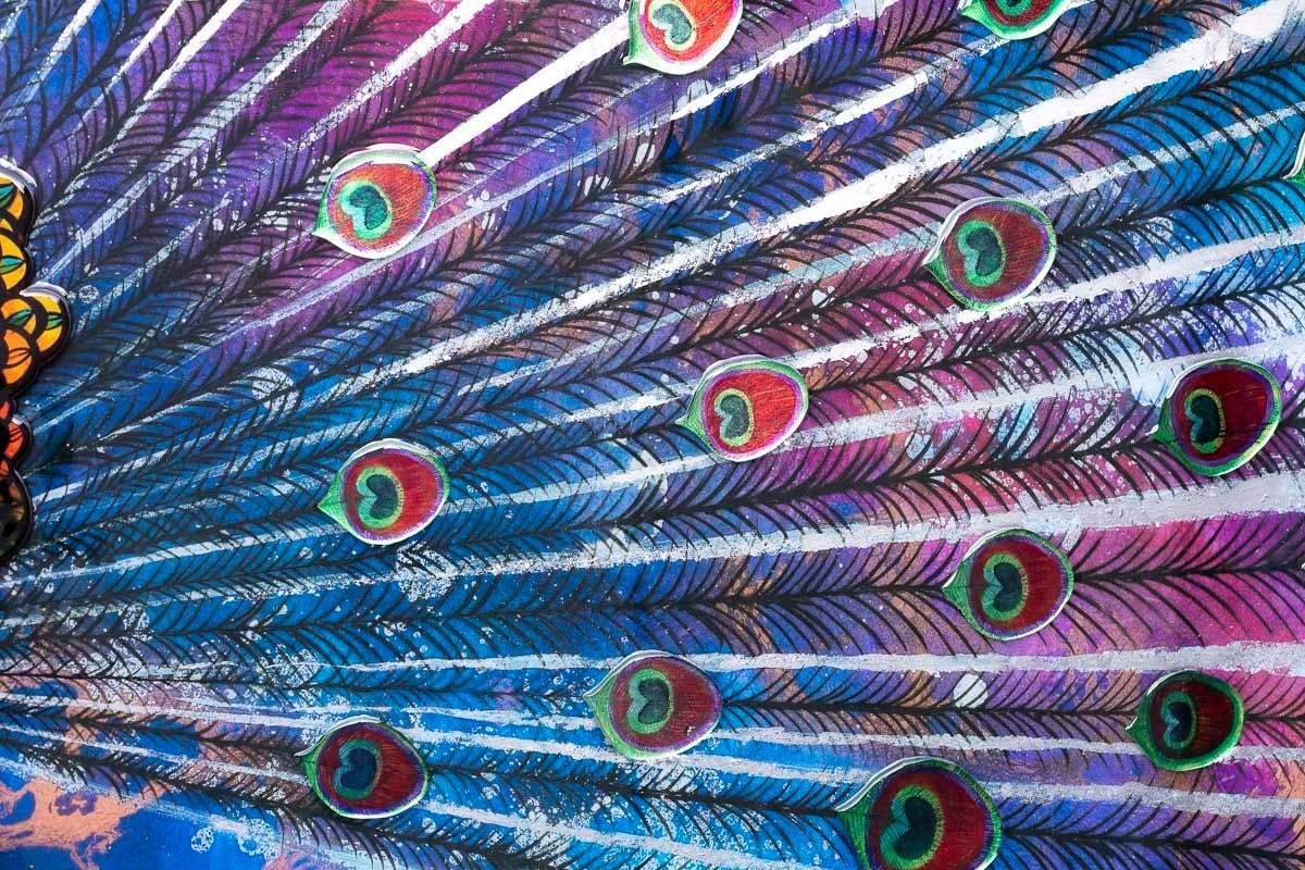 Peacock Dance - Deluxe Edition - SOLD by artist Kerry Darlington - Wyecliffe Galleries