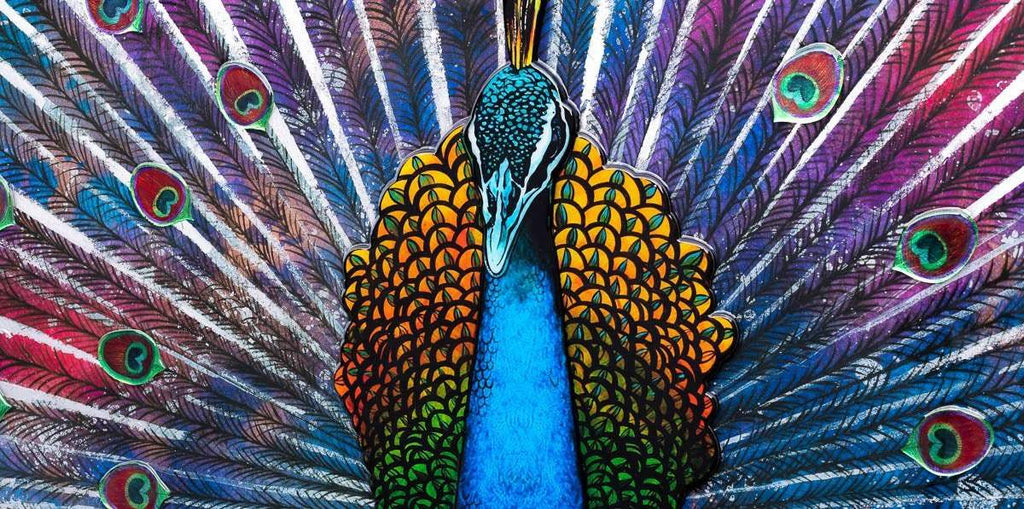 Peacock Dance - Deluxe Edition - SOLD by artist Kerry Darlington - Wyecliffe Galleries