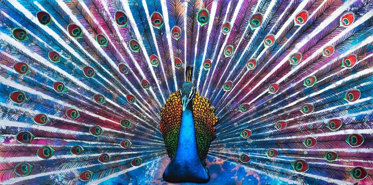 Peacock Dance - Deluxe Edition - SOLD by artist Kerry Darlington - Wyecliffe Galleries