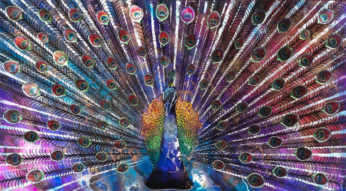 Peacock Dance Mural - Original Kerry Darlington Framed