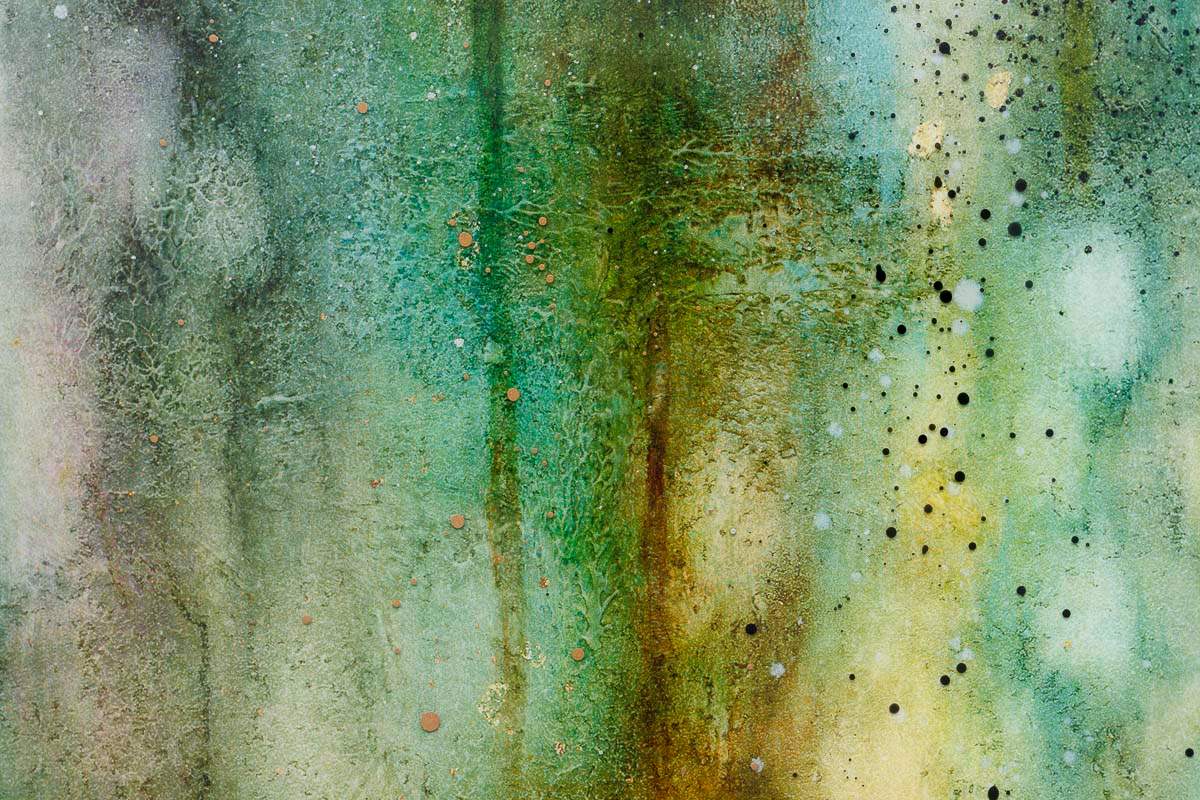 Pixie Hollow - Edition by artist Kerry Darlington - Wyecliffe Galleries