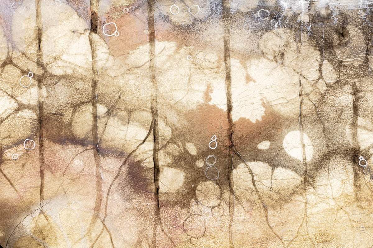 Reflection - SOLD by artist Kerry Darlington - Wyecliffe Galleries