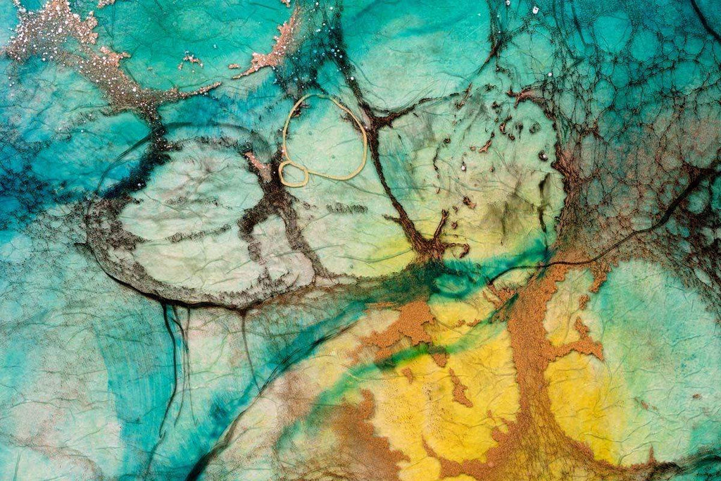 Roble - Original - SOLD by artist Kerry Darlington - Wyecliffe Galleries