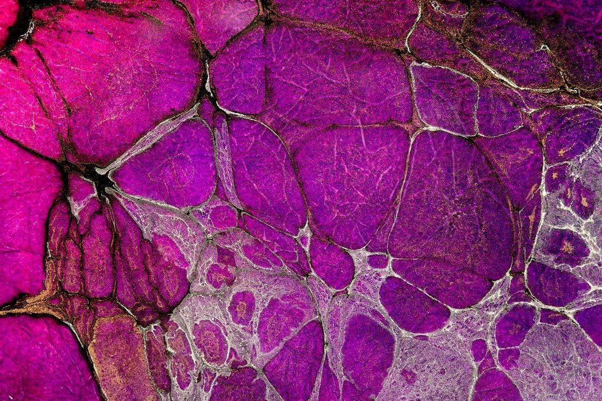 Ruiz - Original - SOLD by artist Kerry Darlington - Wyecliffe Galleries