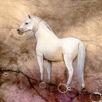 Silent Awe - Original - SOLD by artist Kerry Darlington - Wyecliffe Galleries