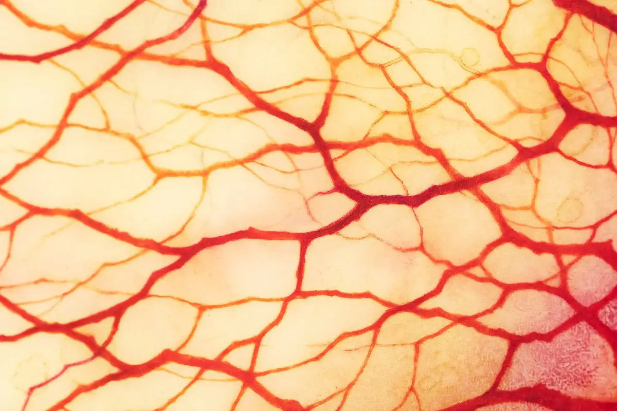 Spirits of Nature - Edition by artist Kerry Darlington - Wyecliffe Galleries