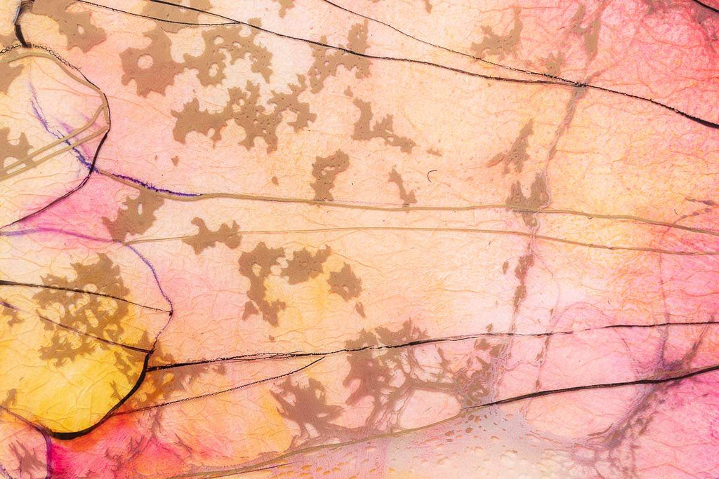 Spring Air - Original - SOLD by artist Kerry Darlington - Wyecliffe Galleries