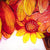 Sunflower - Unique Edition Kerry Darlington Sunflower - Unique Edition