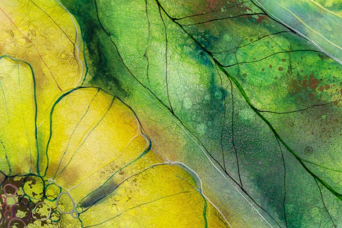 Sunny Flower - Original - SOLD by artist Kerry Darlington - Wyecliffe Galleries