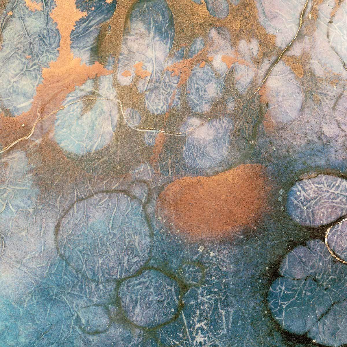 The Call of the Trees - Edition - SOLD by artist Kerry Darlington - Wyecliffe Galleries