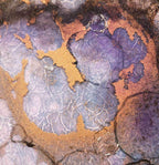 The Call of the Trees - Original - SOLD by artist Kerry Darlington - Wyecliffe Galleries