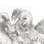 The Caucus-Race and a Long Tale - Original - SOLD by artist Kerry Darlington - Wyecliffe Galleries