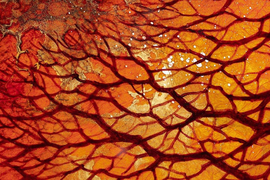 The Silent Energy of Nature - Original - SOLD by artist Kerry Darlington - Wyecliffe Galleries