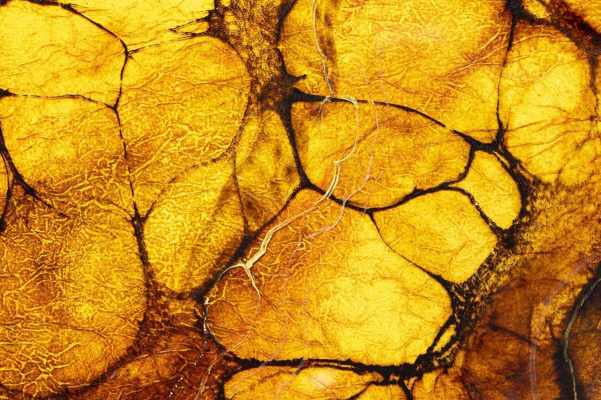 Yellowstone - Original - SOLD by artist Kerry Darlington - Wyecliffe Galleries