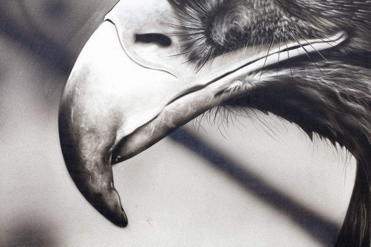 Eagle Eye - Original by artist Kim Rose - Wyecliffe Galleries