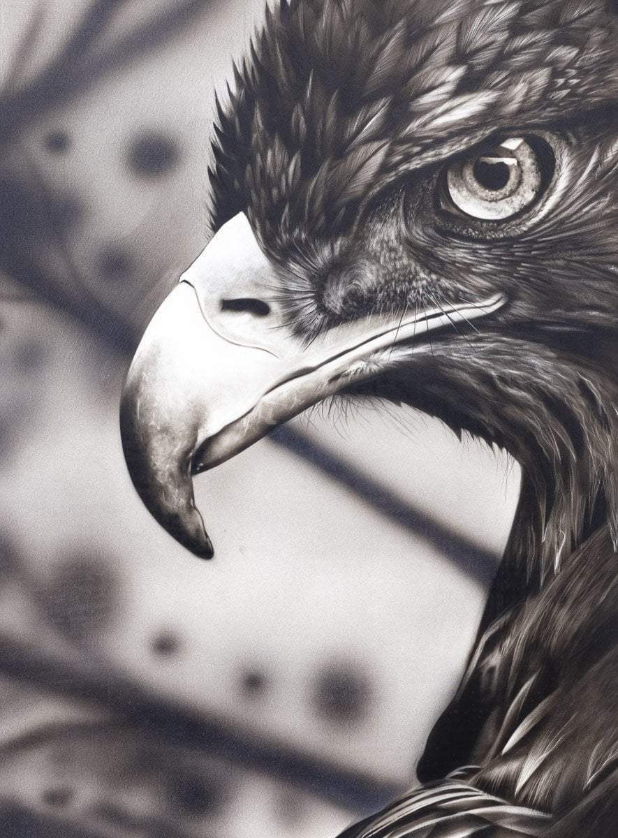 Eagle Eye - Original by artist Kim Rose - Wyecliffe Galleries