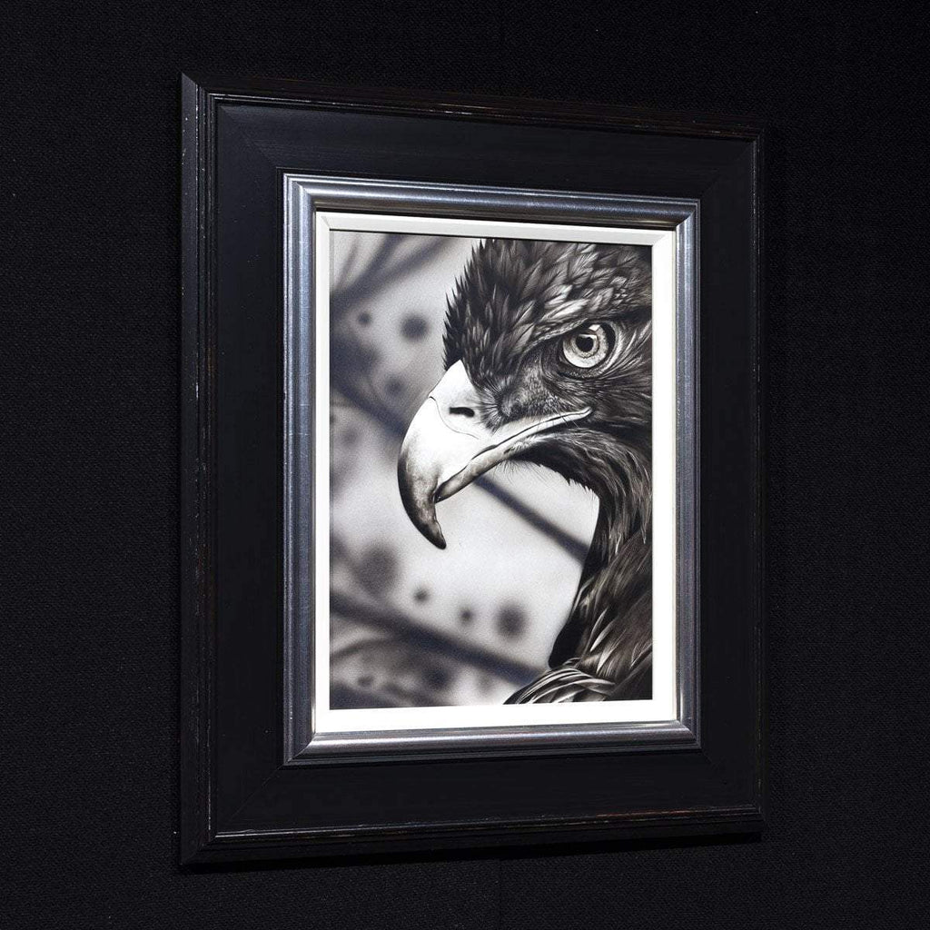 Eagle Eye - Original by artist Kim Rose - Wyecliffe Galleries