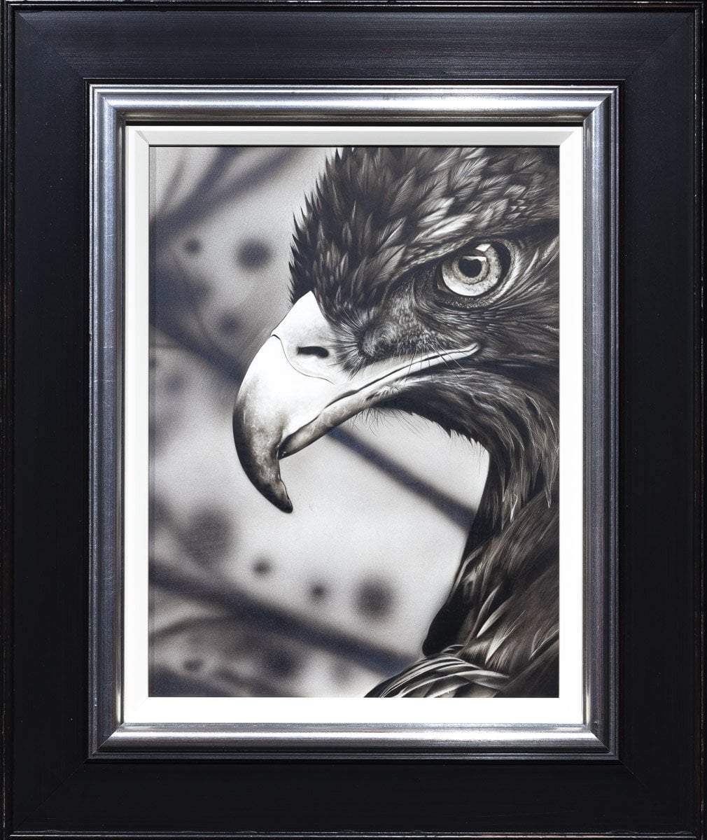 Eagle Eye - Original by artist Kim Rose - Wyecliffe Galleries