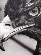 Eagle Eye - Original by artist Kim Rose - Wyecliffe Galleries