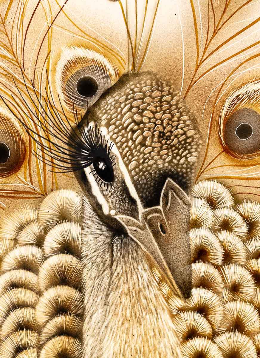 Flamboyant Feathers - Original by artist Kim Rose - Wyecliffe Galleries