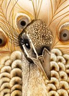 Flamboyant Feathers - Original by artist Kim Rose - Wyecliffe Galleries