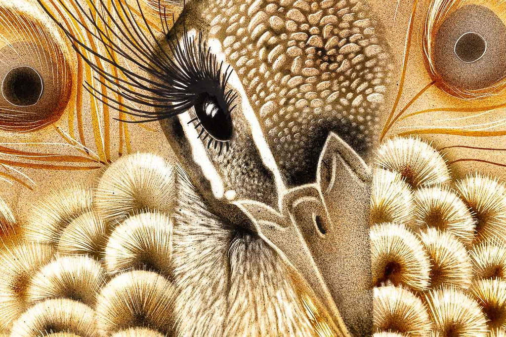 Flamboyant Feathers - Original by artist Kim Rose - Wyecliffe Galleries