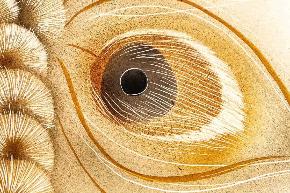 Flamboyant Feathers - Original by artist Kim Rose - Wyecliffe Galleries