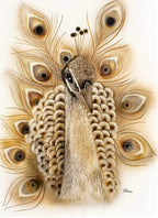 Flamboyant Feathers - Original by artist Kim Rose - Wyecliffe Galleries