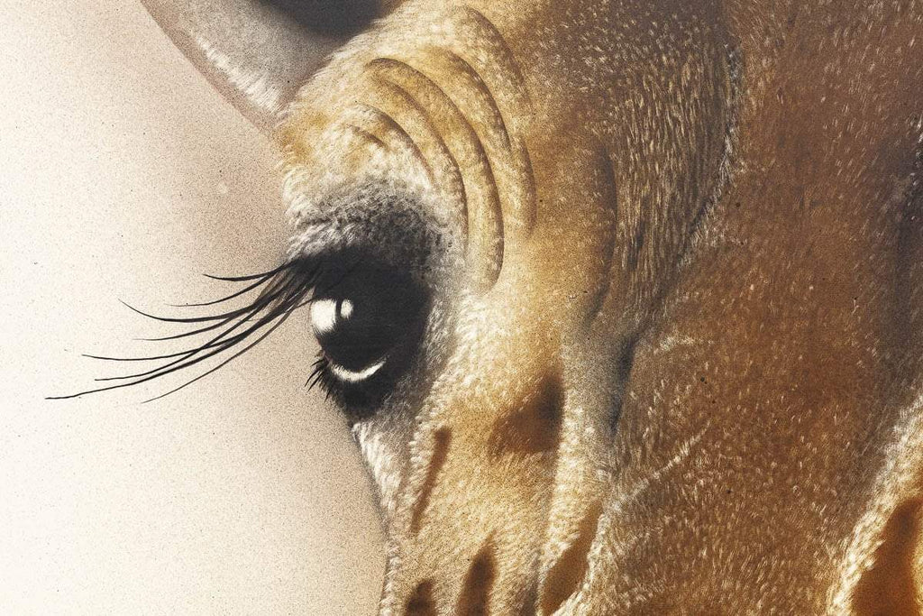 George - Original - SOLD by artist Kim Rose - Wyecliffe Galleries