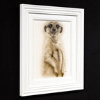 Herbie - Original by artist Kim Rose - Wyecliffe Galleries