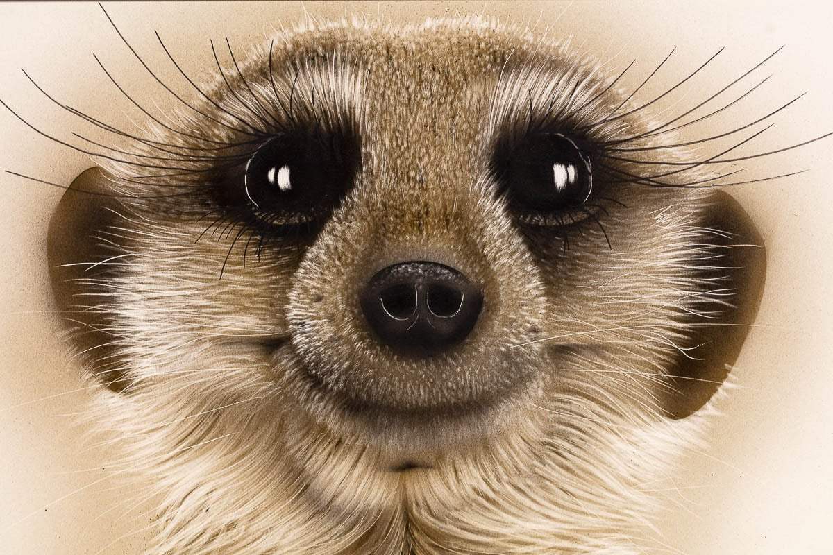 Herbie - Original by artist Kim Rose - Wyecliffe Galleries