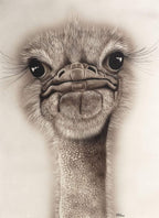 Octavia - Original - SOLD by artist Kim Rose - Wyecliffe Galleries