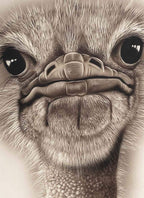 Octavia - Original - SOLD by artist Kim Rose - Wyecliffe Galleries